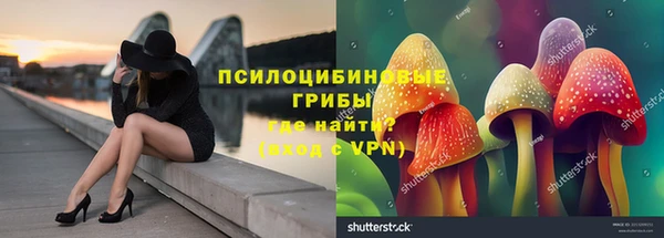 гашиш Арсеньев